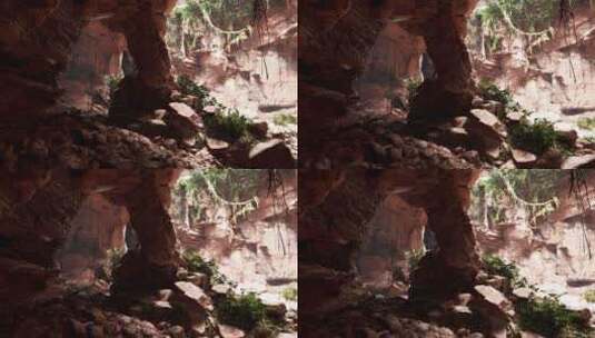 一个神秘的洞穴，有着迷人的岩石和茂盛的植高清在线视频素材下载