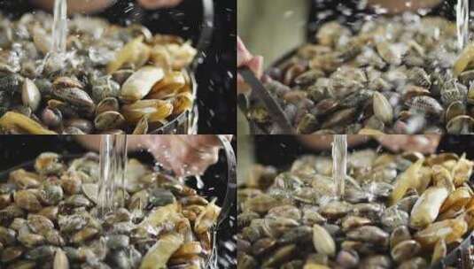 海鲜 水产 海产 海货 花蛤 蛤蜊 花甲高清在线视频素材下载
