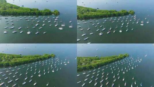 帆船停靠在比斯坎湾的椰林码头附近的晚餐野高清在线视频素材下载