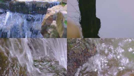 植物园公园小溪流水水中倒影特写风景视频素高清在线视频素材下载