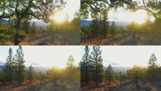 日落时俄勒冈州南部罗格山谷的鸟瞰图。高清在线视频素材下载