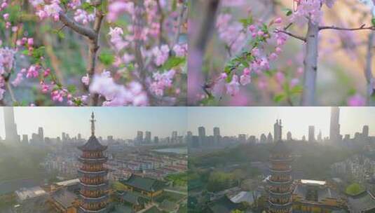 南京玄武区玄武湖景区古鸡鸣寺游客观赏樱花高清在线视频素材下载