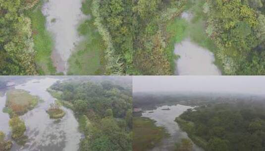 西溪湿地夏季晨雾航拍高清在线视频素材下载