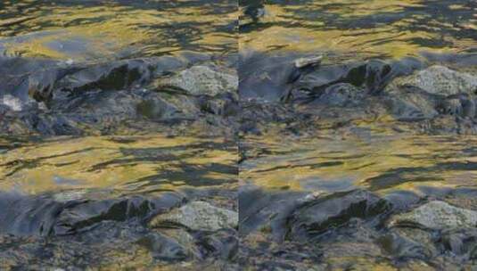 黄昏溪流水面金黄倒影高清在线视频素材下载