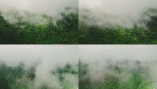 航拍云海森林原始森林纯绿色高清在线视频素材下载