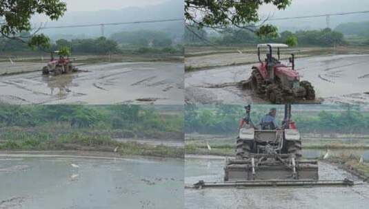 【合集】拖拉机稻田地中犁地高清在线视频素材下载