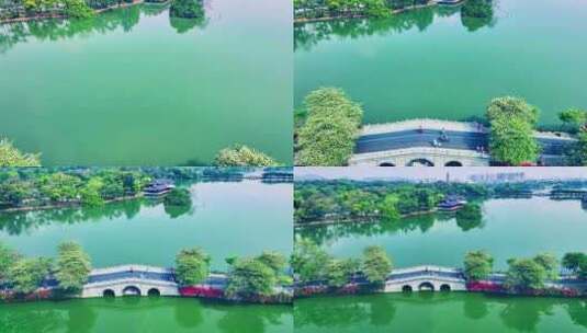 惠州西湖鱼木花航拍视频4K高清在线视频素材下载
