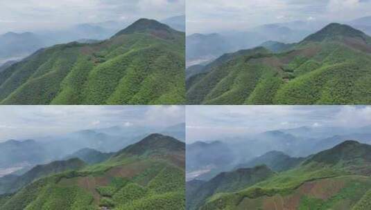 中国浙江杭州径山竹山竹林竹海大气治愈高清在线视频素材下载