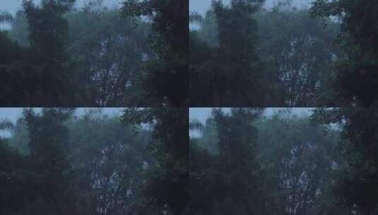 下雨雨天雨景雨滴植物高清在线视频素材下载