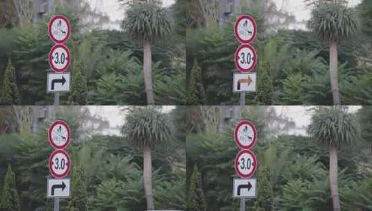 道路标志，交通标志，树木，植被高清在线视频素材下载