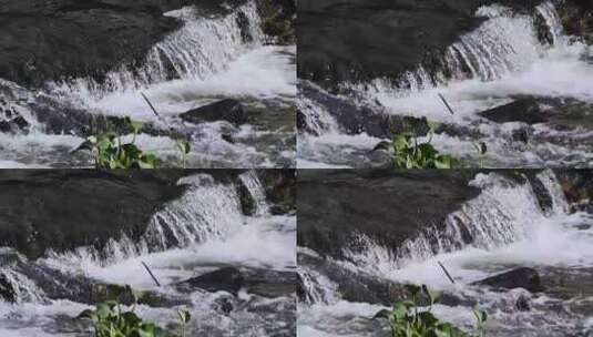 高山流水山泉瀑布视频高清在线视频素材下载