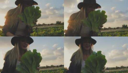 女人在菜园种菜高清在线视频素材下载