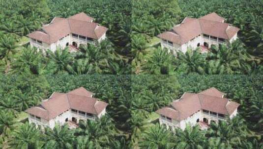 鸟瞰油棕榈庄园殖民地的建筑高清在线视频素材下载