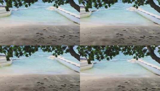 海滩上的树木高清在线视频素材下载