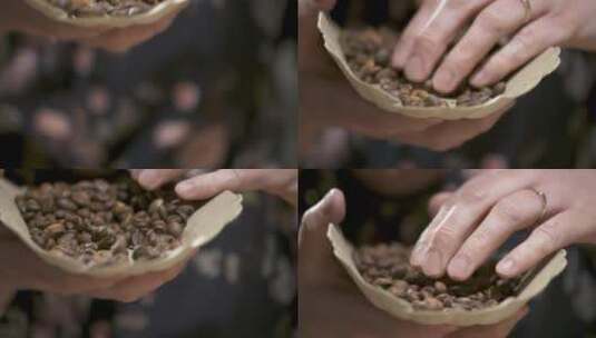 一个人吹走放在纸板上的干燥的咖啡豆涂层高清在线视频素材下载