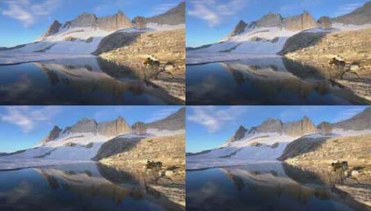 摄影师在山脚下拍照高清在线视频素材下载