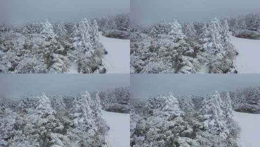 航拍湖北神农架冬季冬天冰雪雪松雪景高清在线视频素材下载