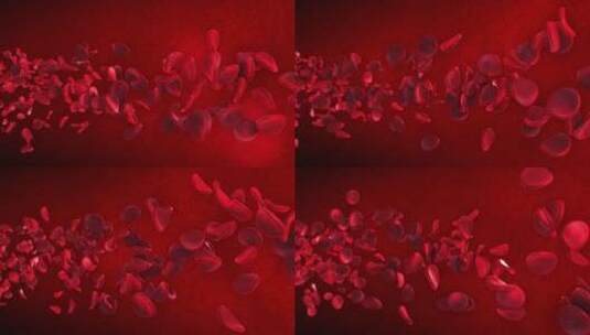 病毒 细胞 细菌 红细胞 血管内高清在线视频素材下载