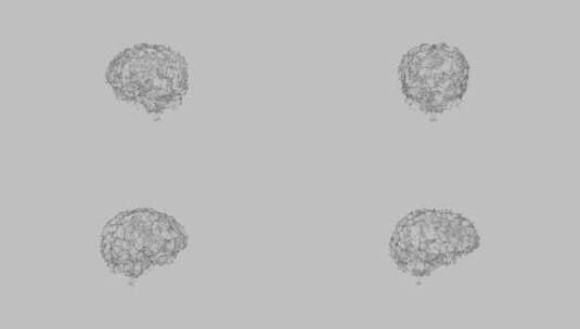 医学 大脑 脑科学 三维 脑ct1 模型高清在线视频素材下载