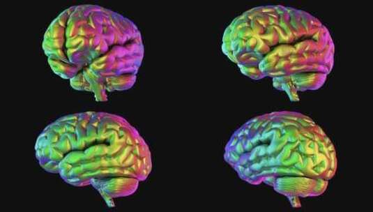 医学 大脑 脑科学 三维 脑ct1 模型高清在线视频素材下载