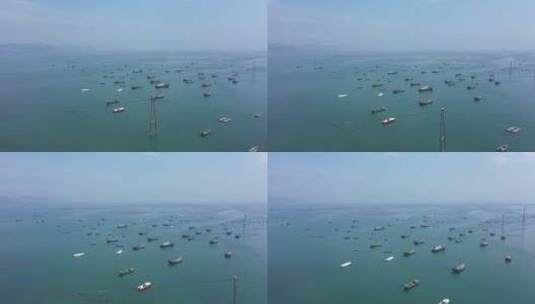 航拍大连旅顺盐场海边的渔船高清在线视频素材下载