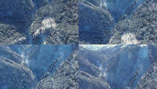 山丘上雪林的鸟瞰高清在线视频素材下载
