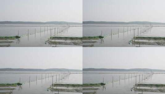 武汉洪山湖滨公园休闲地区高清在线视频素材下载