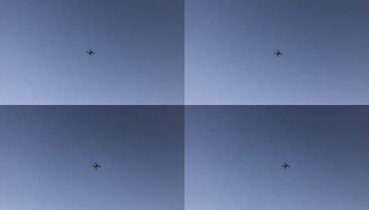 空中飞行的无人机和鸟类高清在线视频素材下载