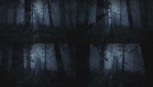 神秘的黑暗森林高清在线视频素材下载