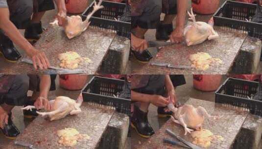 屠宰场 菜市场 杀鸡 宰杀 屠宰高清在线视频素材下载