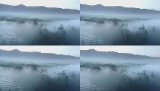云雾中的田野树林高清在线视频素材下载