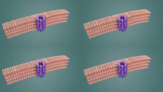 3D医学动画细胞动画 动物细胞 植物细胞高清在线视频素材下载