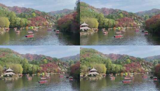 济南红叶谷景区，红叶满山迎来最佳观赏高清在线视频素材下载