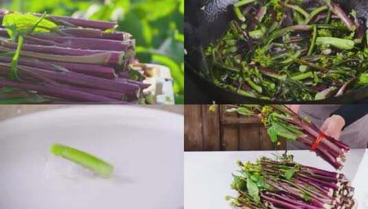 新鲜红菜苔高清在线视频素材下载