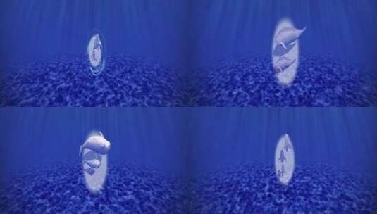 海底江豚海底世界高清在线视频素材下载