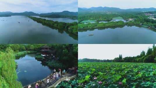 4K航拍杭州西湖曲院风荷荷花视频合集高清在线视频素材下载