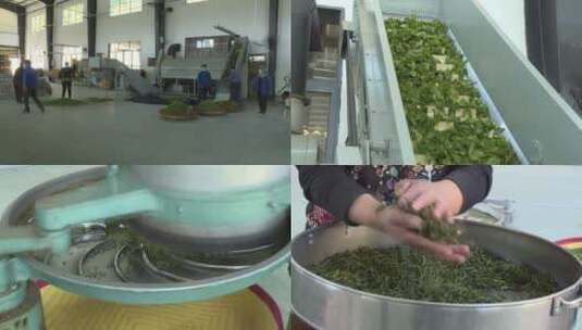 绿茶制作工艺高清在线视频素材下载