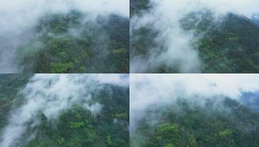 航拍雾气环绕的山林高清在线视频素材下载
