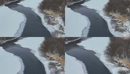 春天开河雪景冰河上游泳的水鸭子高清在线视频素材下载