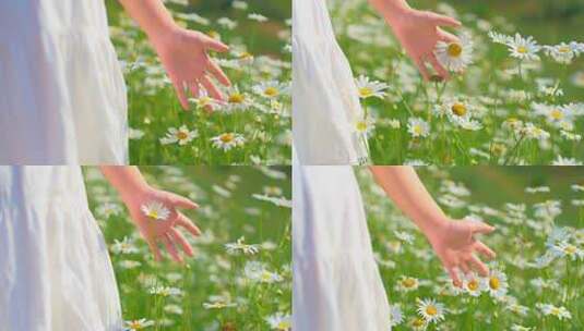 自然唯美美女手摸花朵视频素材4K高清在线视频素材下载