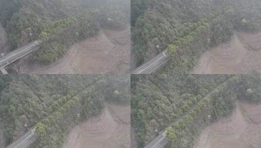 雨后阳光下的镜面莫干山网红桥林中沙滩高清在线视频素材下载