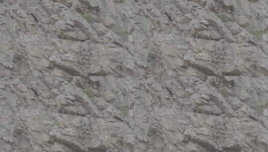 PANA3351 阿勒泰悬崖上的北山羊 保护动物高清在线视频素材下载