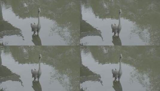 池塘中雕塑鹤高清在线视频素材下载