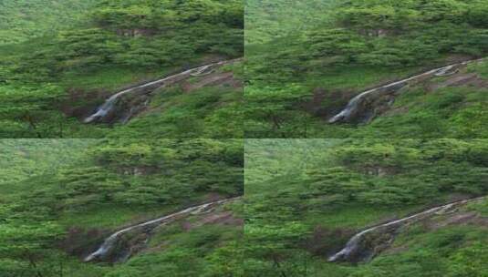 春天的绿色山林和瀑布高清在线视频素材下载