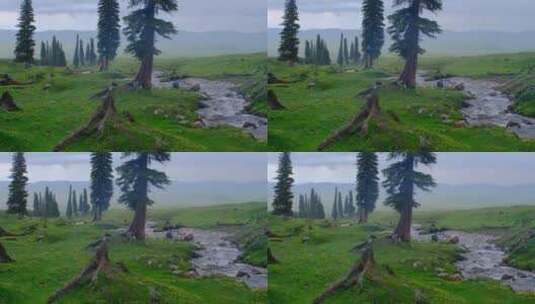 新疆那拉提草原雪山森林小溪绝美风光高清在线视频素材下载