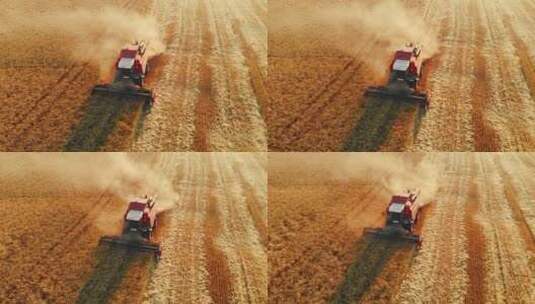 收割机收获小麦高清在线视频素材下载