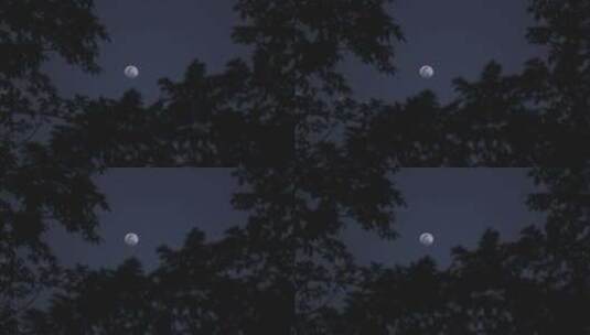 中秋十五的月亮月夜明月高清在线视频素材下载