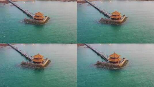 山东省青岛市栈桥海鸥航拍高清在线视频素材下载