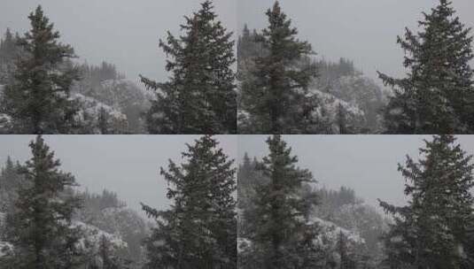 贺兰山金顶雪景视频 (17)高清在线视频素材下载