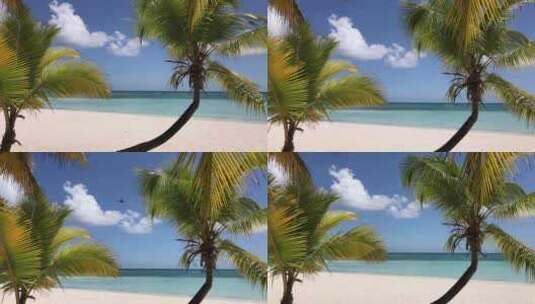 海南沙滩海水椰子树高清在线视频素材下载